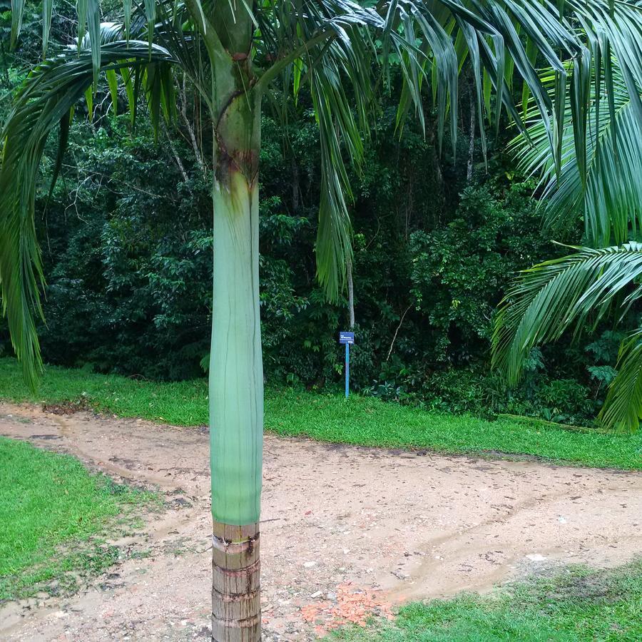 Suites Ubatuba Praia Da Lagoinha Eksteriør bilde
